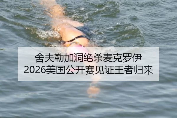 舍夫勒加洞绝杀麦克罗伊 2026美国公开赛见证王者归来